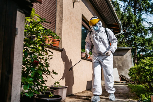 Best Affordable Pest Control Services  in Santaquin, UT