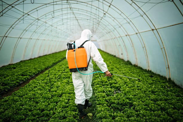 Pest Prevention Services in Santaquin, UT