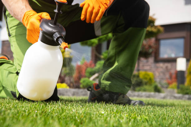 Best Emergency Pest Control  in Santaquin, UT