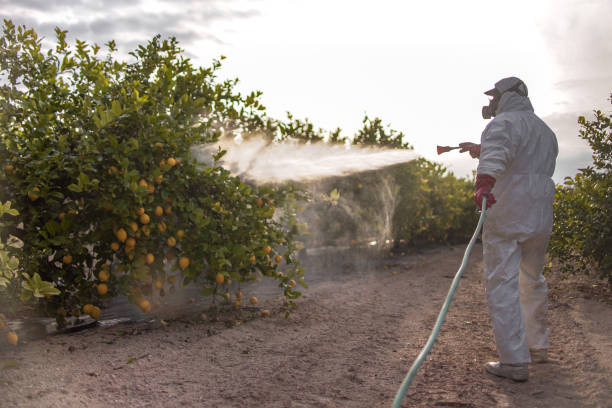 Best Mosquito Control Services  in Santaquin, UT