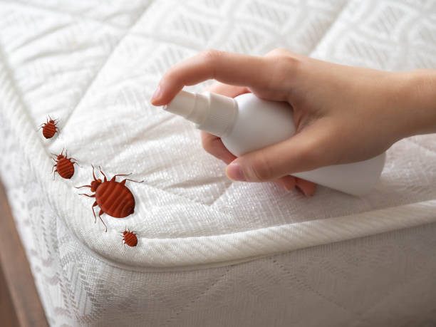 Best Pest Prevention Services  in Santaquin, UT