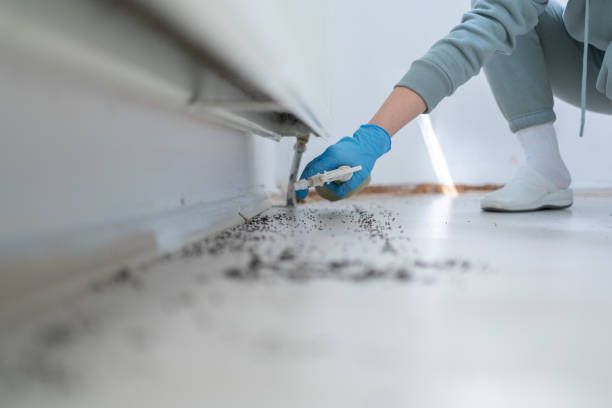Pest Control Cost in Santaquin, UT